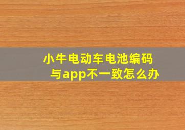 小牛电动车电池编码与app不一致怎么办