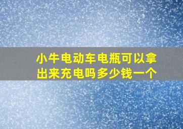 小牛电动车电瓶可以拿出来充电吗多少钱一个