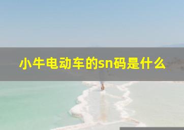 小牛电动车的sn码是什么