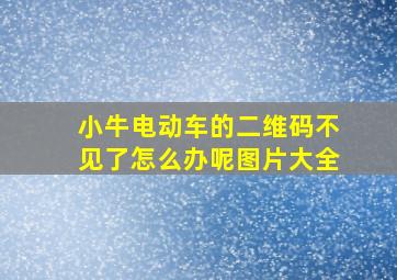 小牛电动车的二维码不见了怎么办呢图片大全