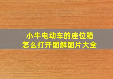 小牛电动车的座位箱怎么打开图解图片大全