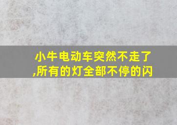 小牛电动车突然不走了,所有的灯全部不停的闪