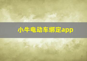 小牛电动车绑定app