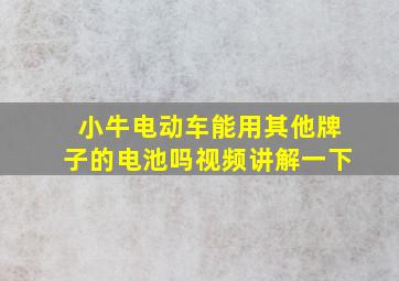 小牛电动车能用其他牌子的电池吗视频讲解一下