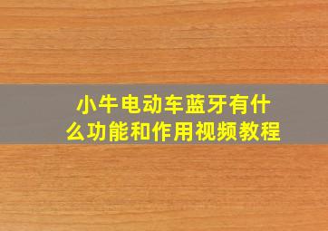 小牛电动车蓝牙有什么功能和作用视频教程