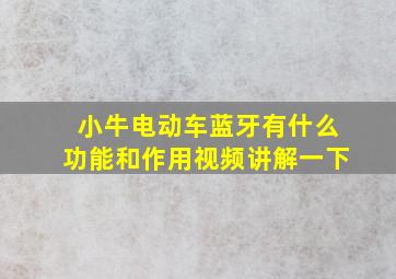 小牛电动车蓝牙有什么功能和作用视频讲解一下