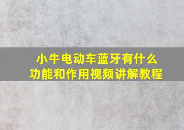 小牛电动车蓝牙有什么功能和作用视频讲解教程