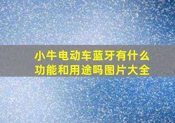 小牛电动车蓝牙有什么功能和用途吗图片大全