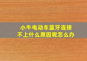 小牛电动车蓝牙连接不上什么原因呢怎么办