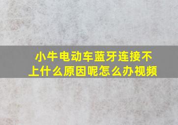 小牛电动车蓝牙连接不上什么原因呢怎么办视频