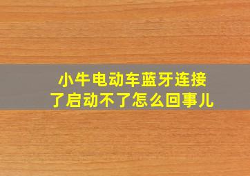 小牛电动车蓝牙连接了启动不了怎么回事儿