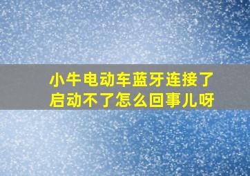 小牛电动车蓝牙连接了启动不了怎么回事儿呀