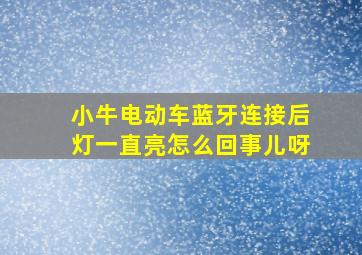 小牛电动车蓝牙连接后灯一直亮怎么回事儿呀