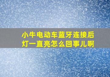 小牛电动车蓝牙连接后灯一直亮怎么回事儿啊