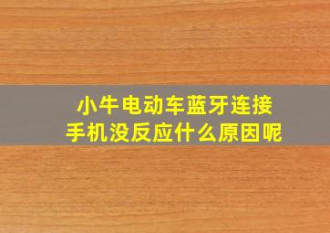 小牛电动车蓝牙连接手机没反应什么原因呢