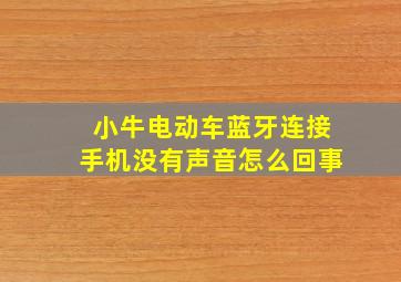 小牛电动车蓝牙连接手机没有声音怎么回事