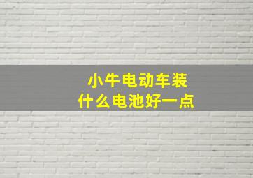 小牛电动车装什么电池好一点