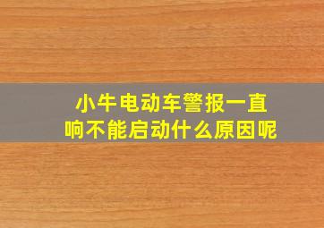 小牛电动车警报一直响不能启动什么原因呢