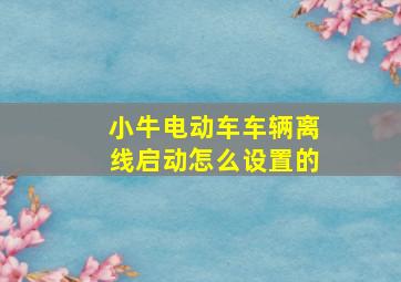 小牛电动车车辆离线启动怎么设置的