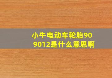 小牛电动车轮胎909012是什么意思啊