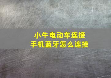 小牛电动车连接手机蓝牙怎么连接