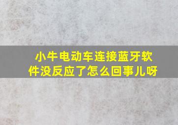 小牛电动车连接蓝牙软件没反应了怎么回事儿呀