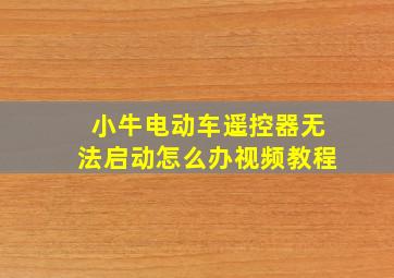 小牛电动车遥控器无法启动怎么办视频教程