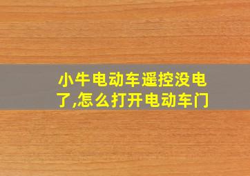 小牛电动车遥控没电了,怎么打开电动车门