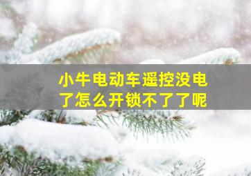 小牛电动车遥控没电了怎么开锁不了了呢