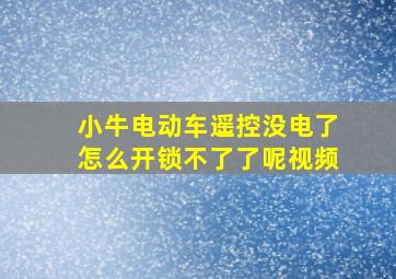 小牛电动车遥控没电了怎么开锁不了了呢视频