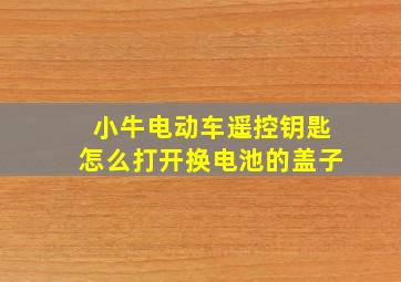 小牛电动车遥控钥匙怎么打开换电池的盖子