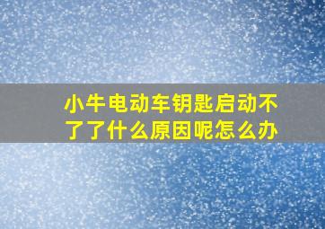 小牛电动车钥匙启动不了了什么原因呢怎么办