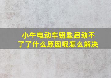 小牛电动车钥匙启动不了了什么原因呢怎么解决