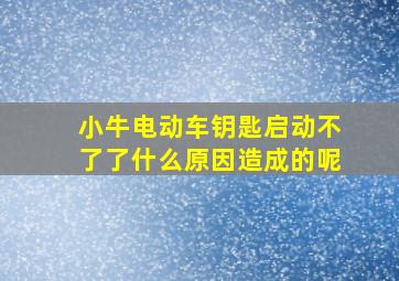 小牛电动车钥匙启动不了了什么原因造成的呢