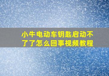 小牛电动车钥匙启动不了了怎么回事视频教程