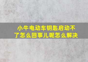 小牛电动车钥匙启动不了怎么回事儿呢怎么解决