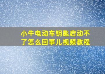 小牛电动车钥匙启动不了怎么回事儿视频教程