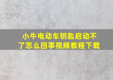 小牛电动车钥匙启动不了怎么回事视频教程下载