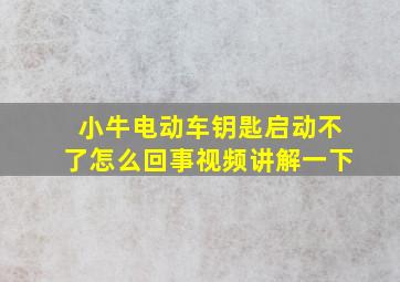 小牛电动车钥匙启动不了怎么回事视频讲解一下