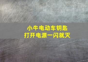 小牛电动车钥匙打开电源一闪就灭