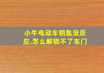 小牛电动车钥匙没反应,怎么解锁不了车门