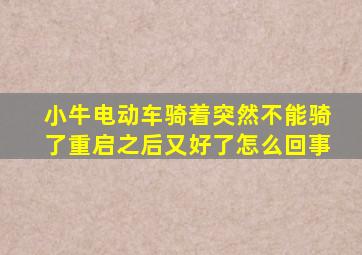 小牛电动车骑着突然不能骑了重启之后又好了怎么回事