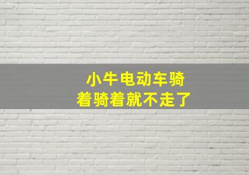 小牛电动车骑着骑着就不走了