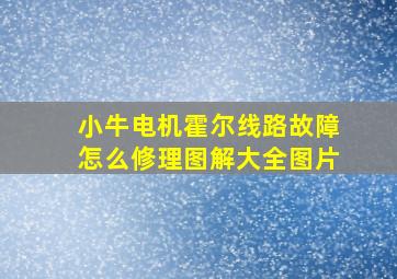 小牛电机霍尔线路故障怎么修理图解大全图片