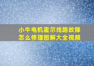 小牛电机霍尔线路故障怎么修理图解大全视频