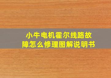 小牛电机霍尔线路故障怎么修理图解说明书