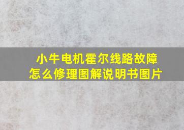 小牛电机霍尔线路故障怎么修理图解说明书图片