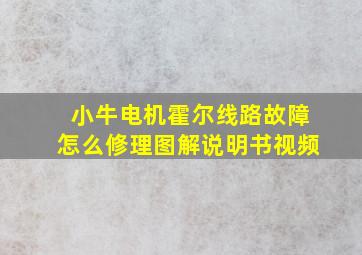 小牛电机霍尔线路故障怎么修理图解说明书视频