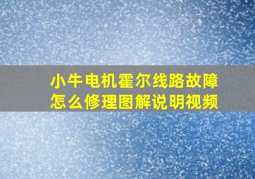 小牛电机霍尔线路故障怎么修理图解说明视频