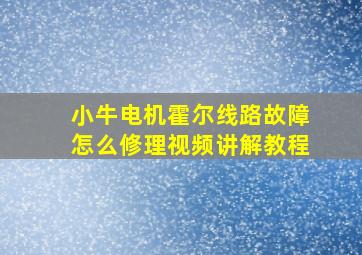 小牛电机霍尔线路故障怎么修理视频讲解教程